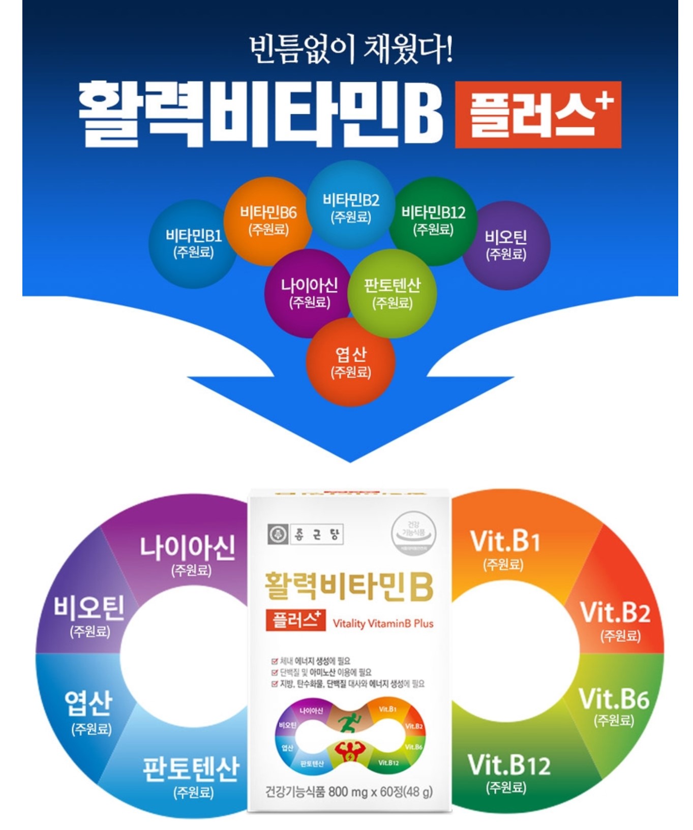 약국 비타민B 고함량 비타민비 군 영양제 B3 B5 B7 B9 수용성 컴플렉스 : 영양닷컴