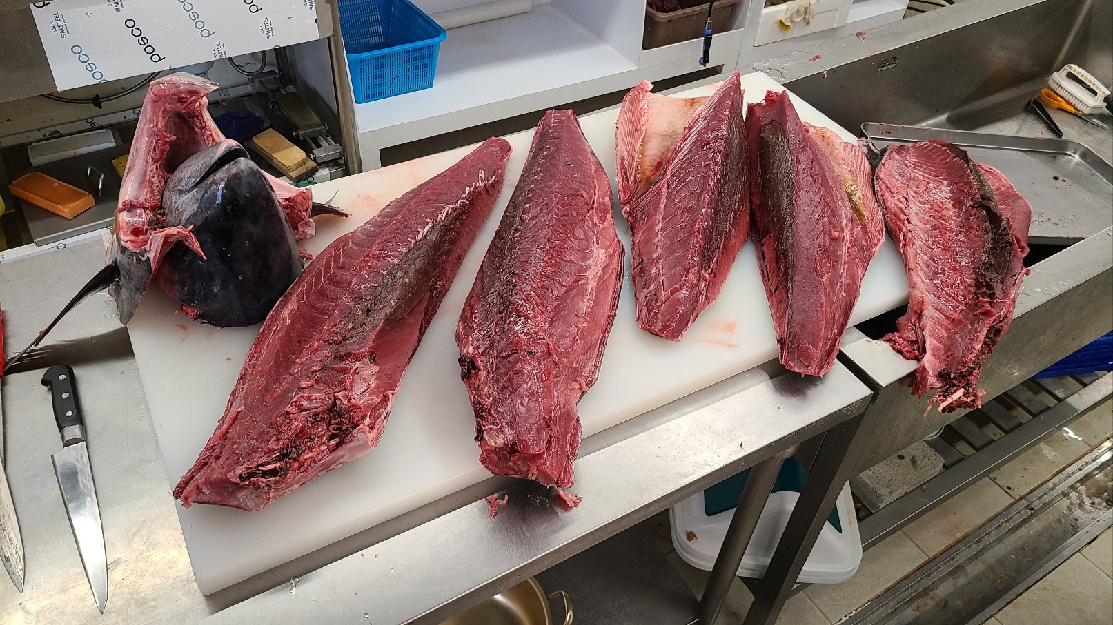 홈마카세 냉장 생물 참치 회 150kg국내산 참다랑어 부위별 모둠참치회 300g 500g : 민어청년