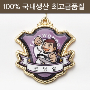 태권도 깐돌이메달 [모범상] 캐릭터 메달 : 골드스포