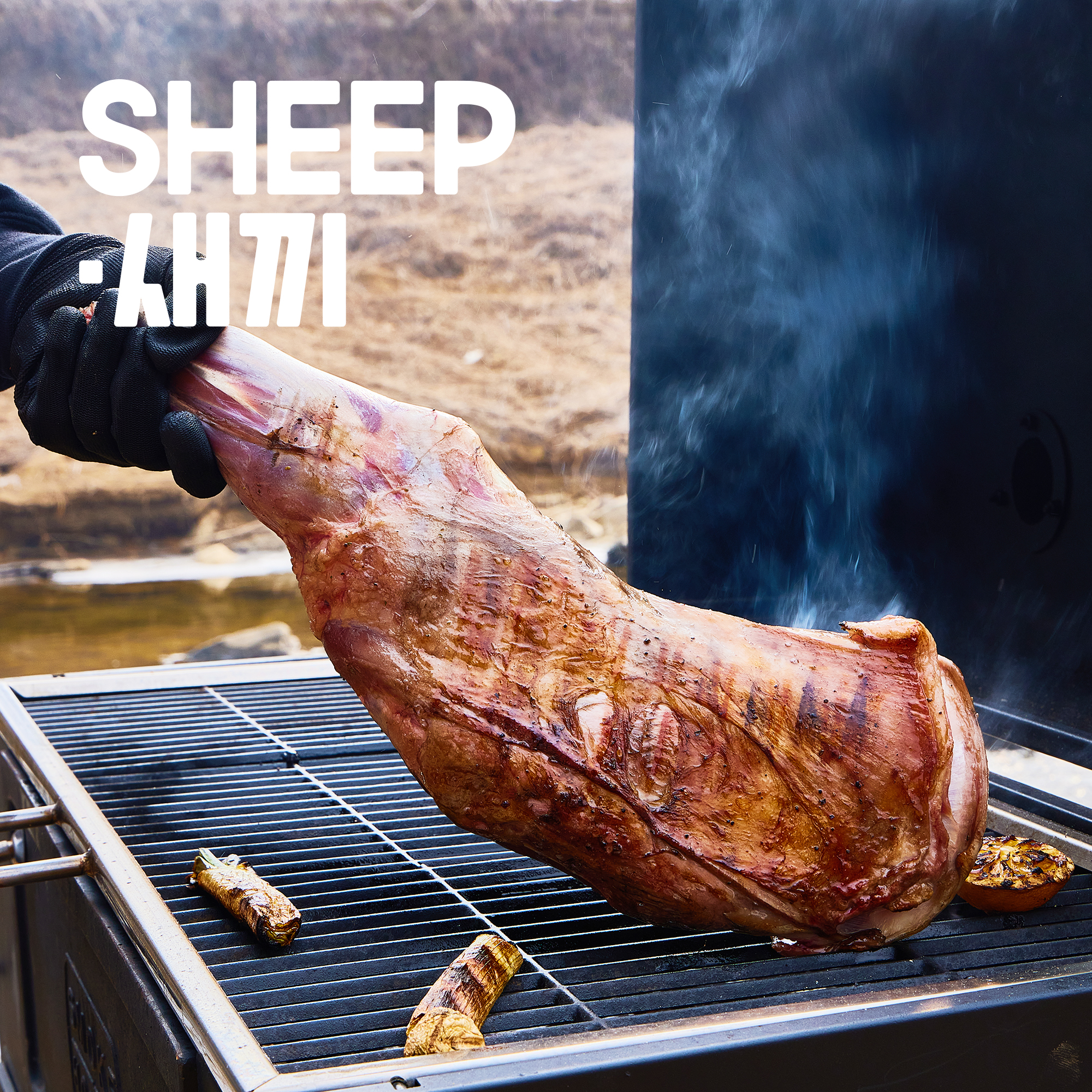 통 양다리 - SHEEP새끼 양고기 캠핑 양다리구이 토마호크 통구이 양갈비 : SHEEP새끼