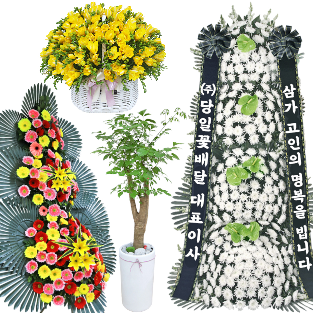 프리지아 화환 관엽 꽃 : 참 꽃배달 화환 근조화환