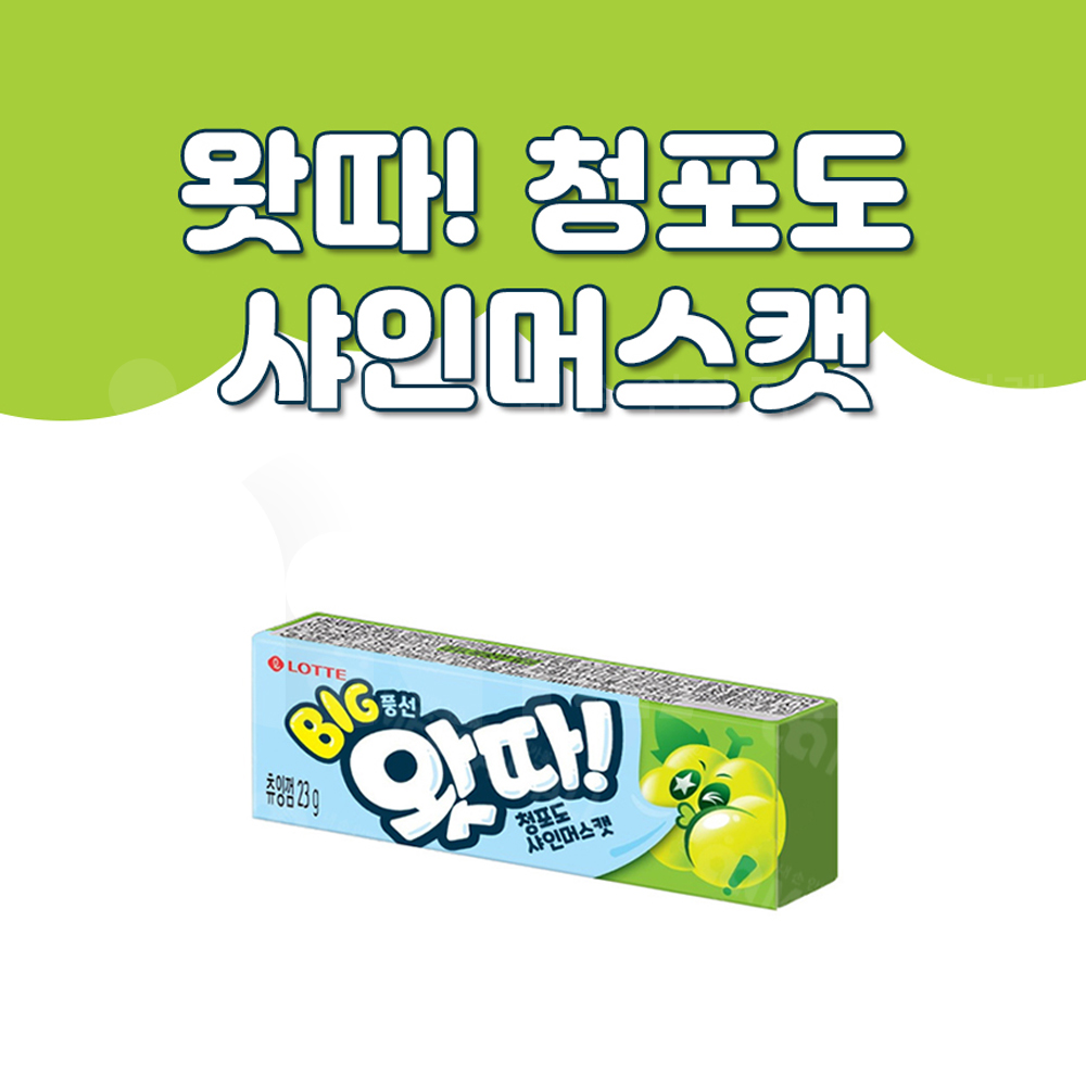 롯데제과 왓따 청포도 샤인머스캣 23g x 12개 껌 풍선껌 과일껌 : 등달몰