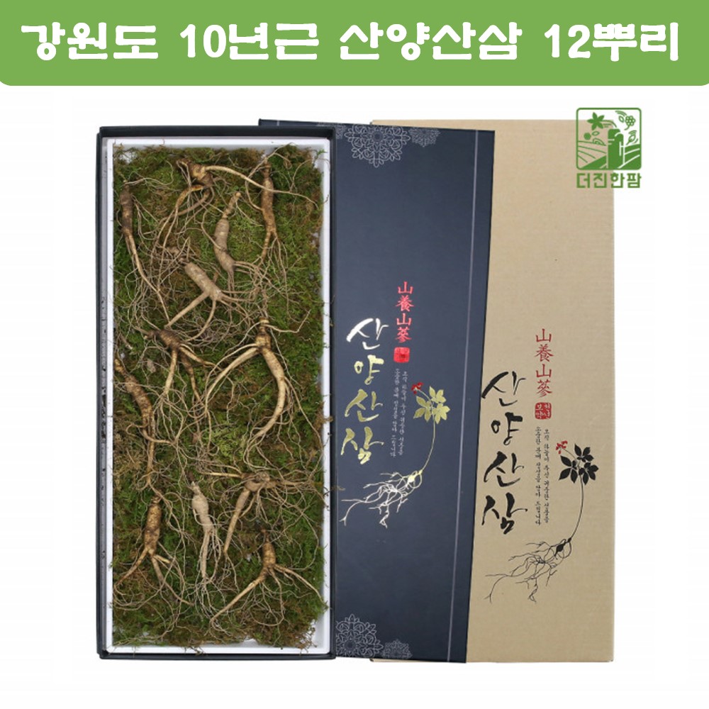 더진한팜 기운내삼 10년근 산양산삼 12뿌리 : 미야마켓
