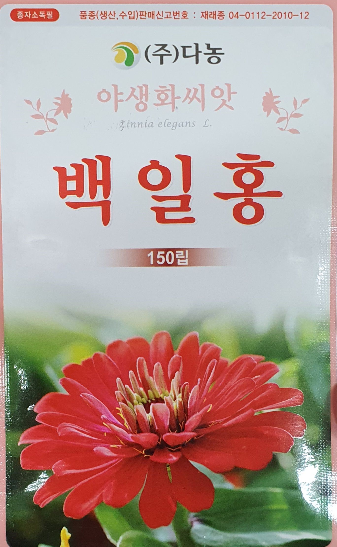 백일홍 야생화씨앗/4월초파종/다농/가람종묘사 : 가람종묘사
