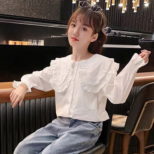 웰스카라 블라우스/화이트 : 주식회사 헬로샵