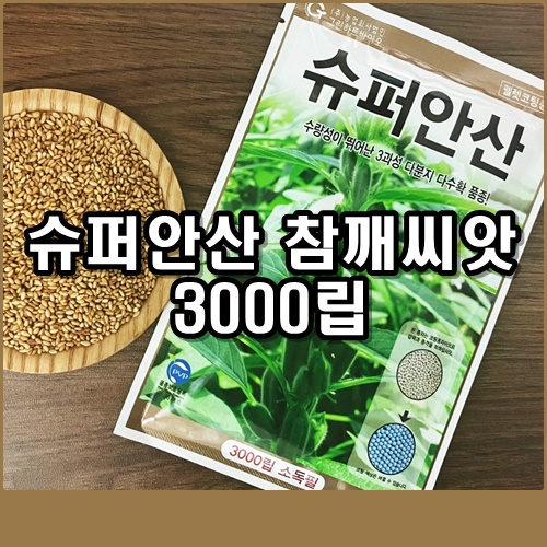 슈퍼안산 참깨 씨앗 (3000립/당해생산) : 미래농약종묘