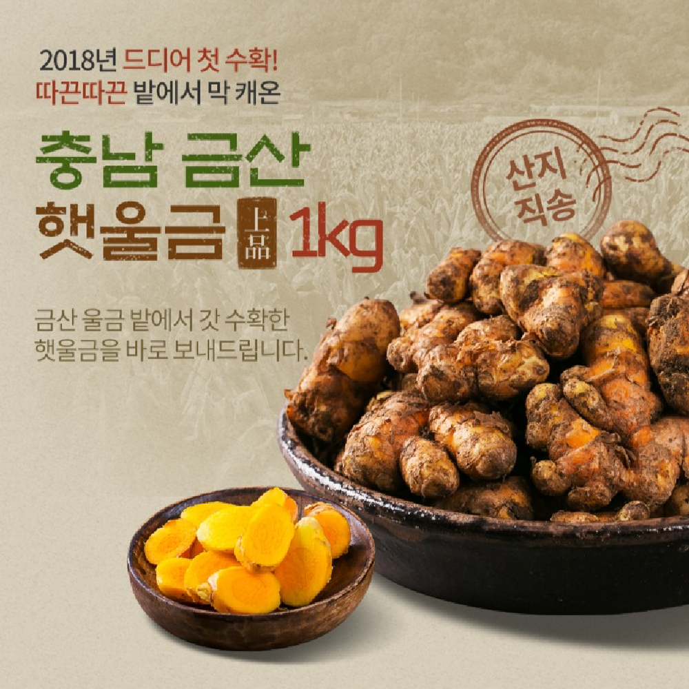 경동약초 금산 산지직송 생울금 1kg 강황 : 경동 상회