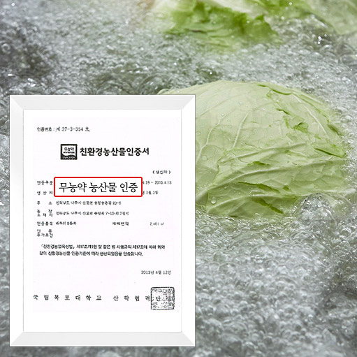 참진농원 양배추사과즙 80ml x 100개입 위건강에 좋은 양배추즙 : 주식회사 참진농원