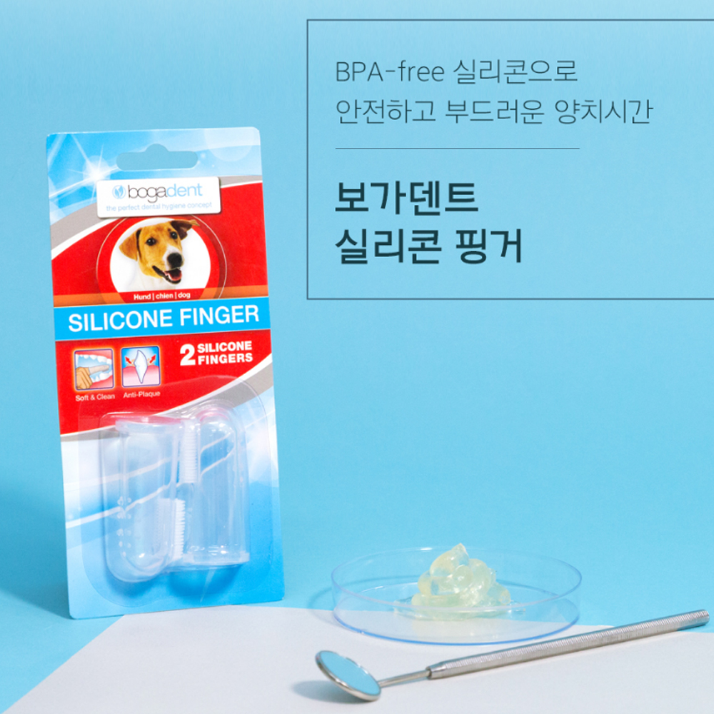 보가덴트 애견치약 칫솔 강아지 잇몸관리 컴플리트 리포젤도그 노견 치주염 치석제거 스케일러 : 럭셔리펫플