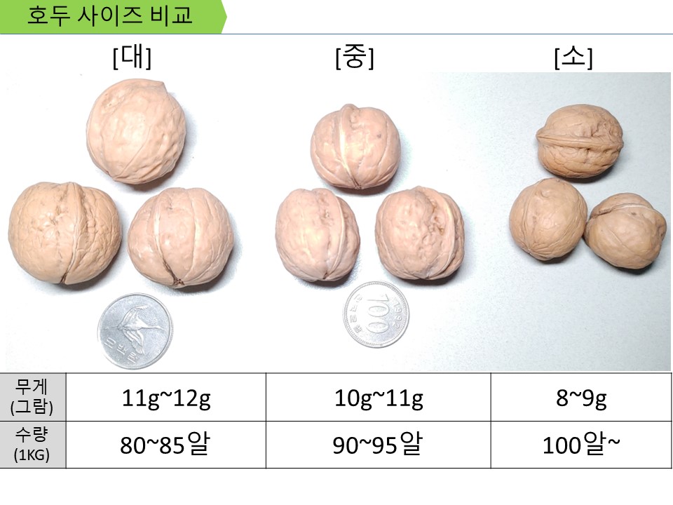 국산 무농약 알호두(소,1키로), 24년 햇호두 친환경 경북 김천 : 황금호두-포도 농장