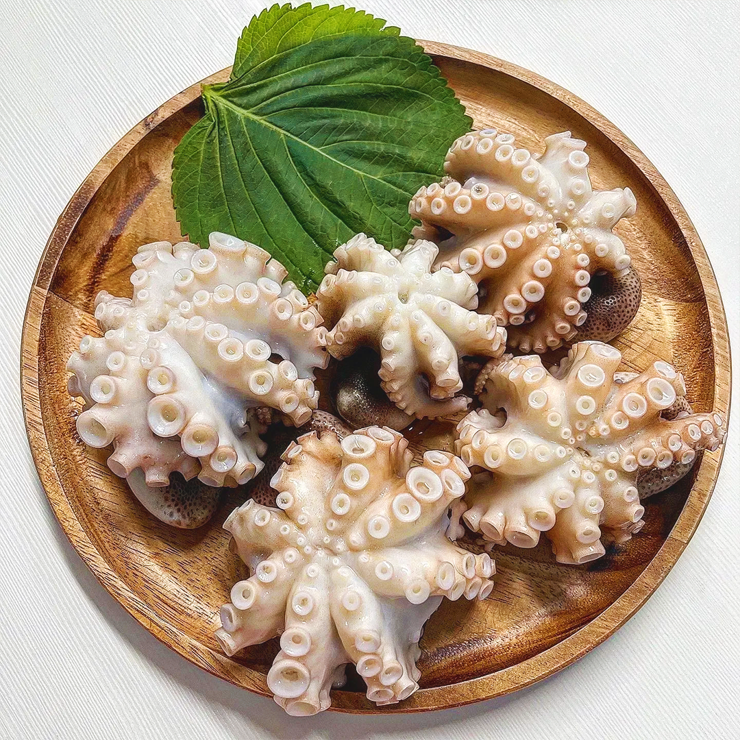 국내산 제철 쭈꾸미 1kg 주꾸미 활 알 냉동 알배기 : 주식회사 엄마수산