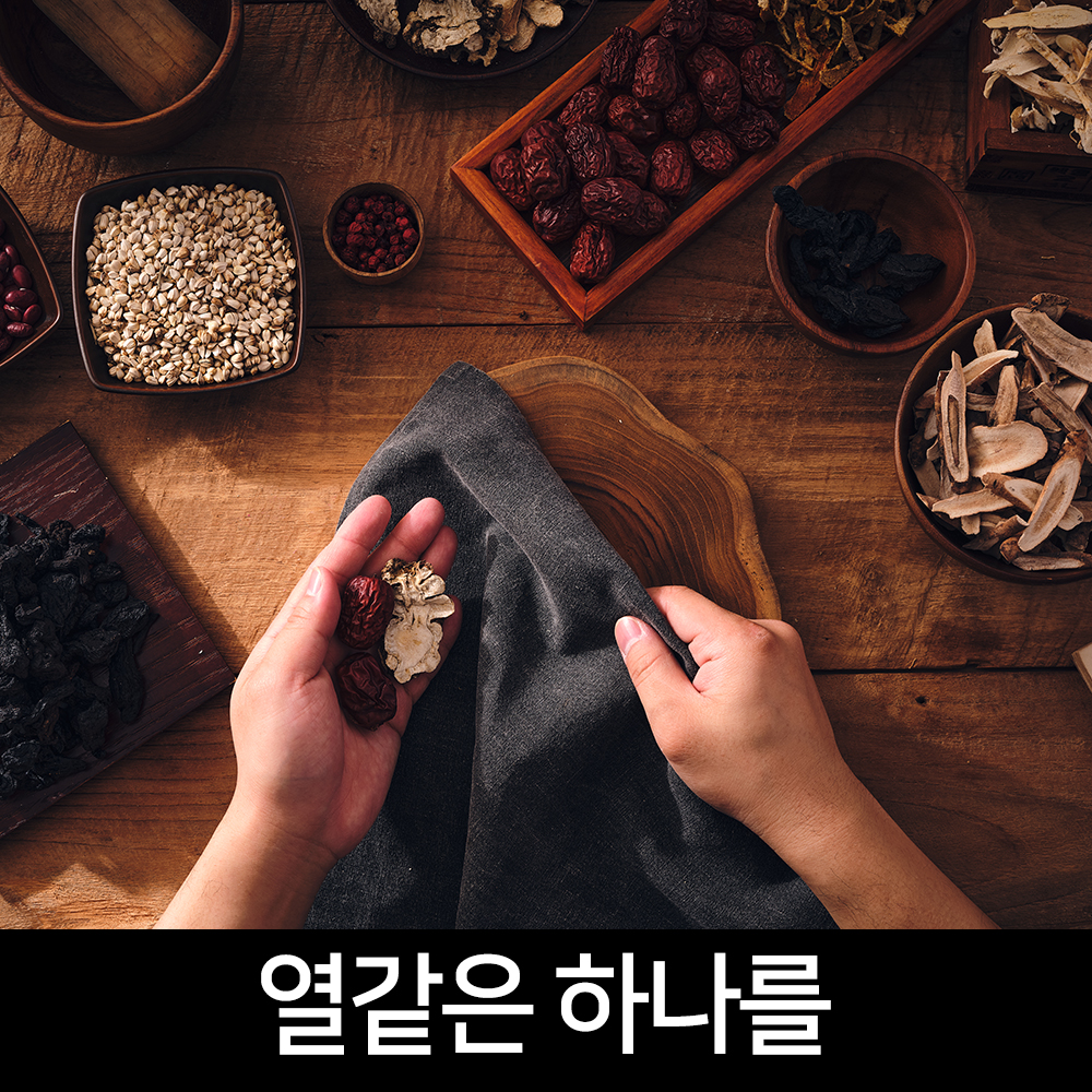 힘가네 흑염소진액 엑기스 흑염소즙 1박스 100ml X 10포 : 힘가네
