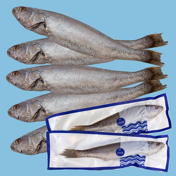 착한수산 신안 손질 반건조 통민어(특대)1미(350~370g내외) : 피쉬세일