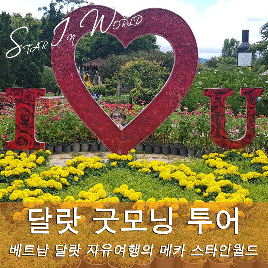 [달랏] 낭만의 도시 달랏 굿모닝 투어 (공항 픽업/랑비앙산/플라워가든/크레이지하우스/빅씨마트/호텔드랍/스타인월드) : 스타인월드
