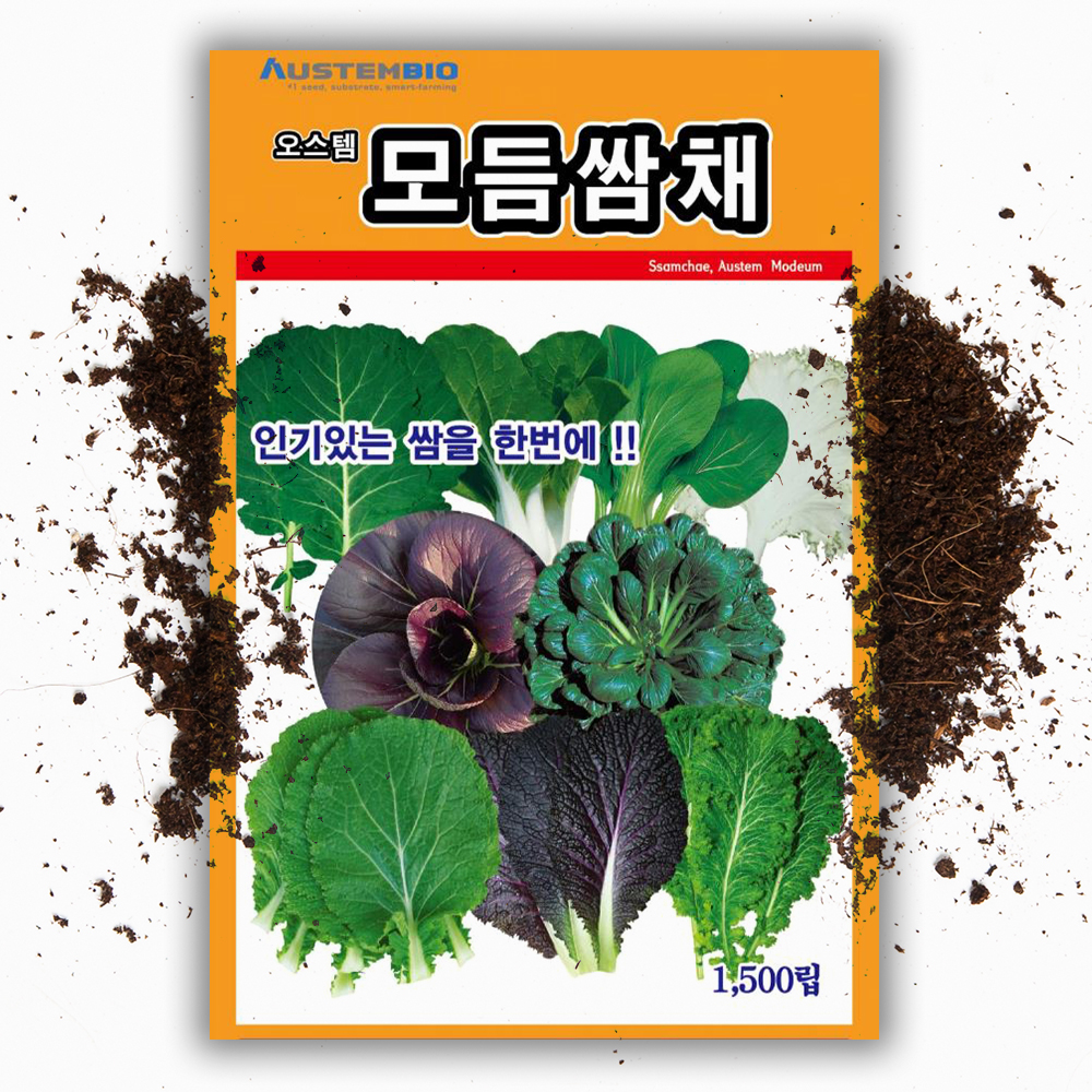 혼합 모듬 쌈채씨앗 쌈채소 종자 허브 종자 씨 : 씨앗팜