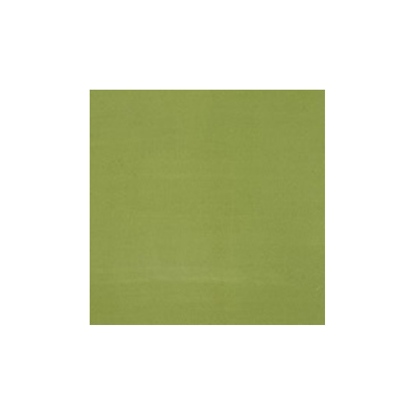 도자기용 물감 / 리프그린 Leafgreen  1250도 소성 : DongYoung