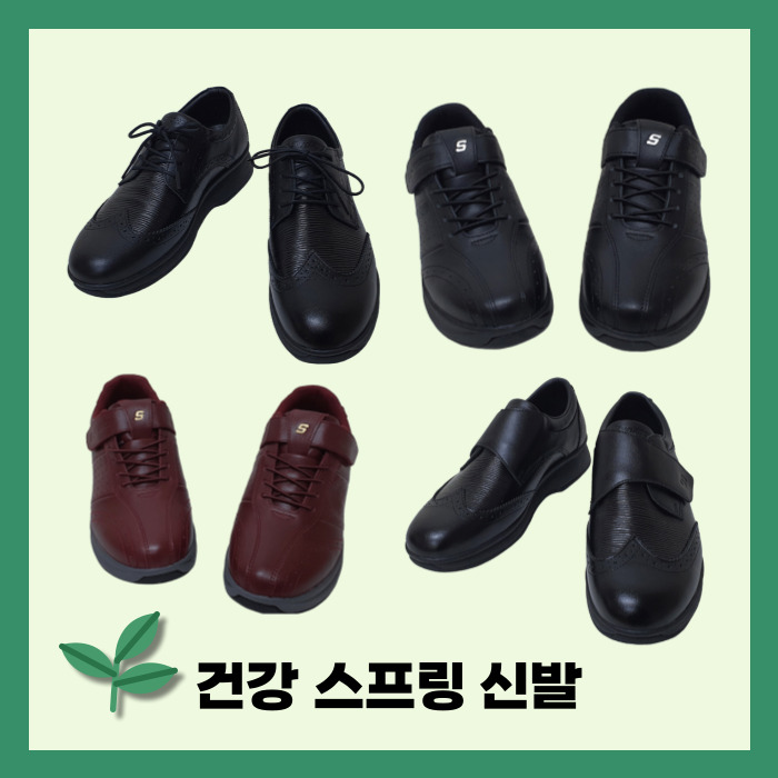 [특허] 부모님 효도 건강 기능성 스프링 신발 무릎관절 보호 혈액순환 : 디오LIFE