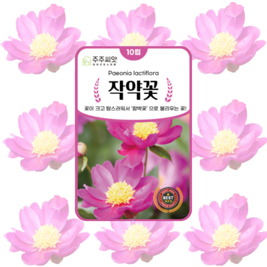꽃씨 꽃씨몰 작약 10립 씨앗 봄 다년생 노지월동 야생화 종자 파종 꽃씨앗 : 주주씨앗