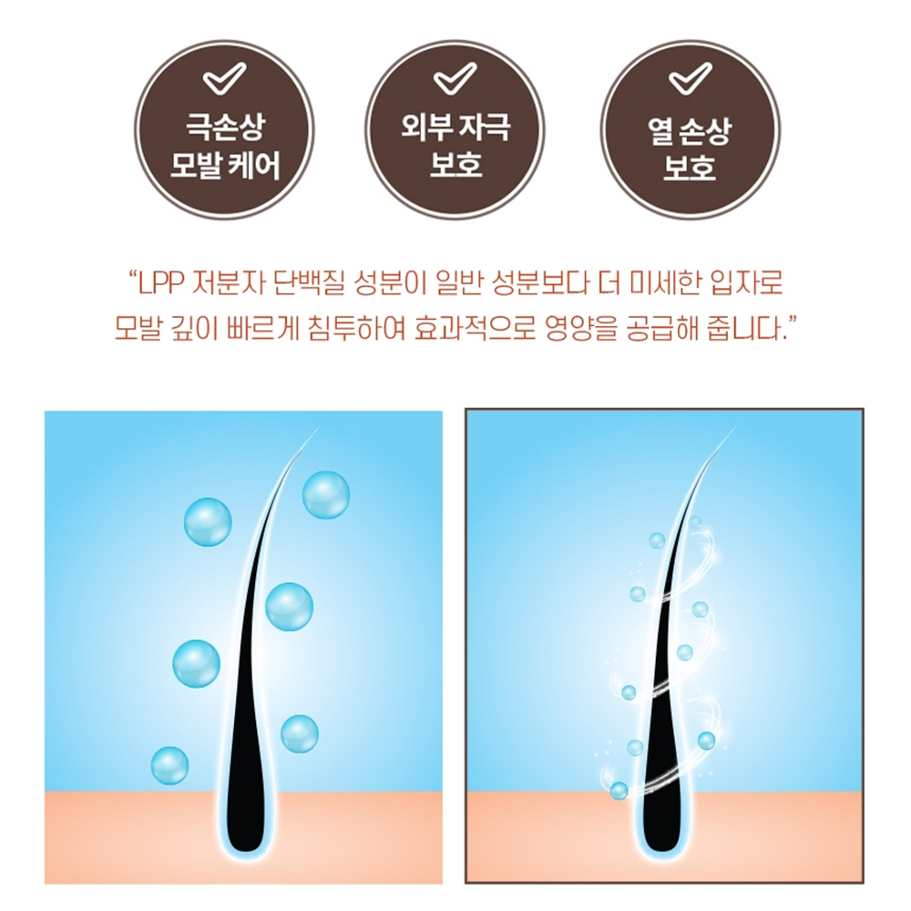 단백질트리트먼트 미용실트리트먼트 극손상 헤어 맥주효모 : 도모소모