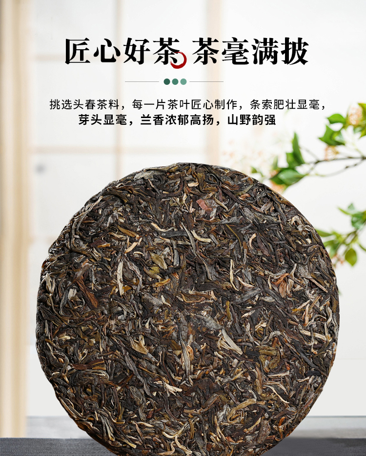 [7-1702] 2020년 대암춘 포랑고수병차 보이차 생병 약357g이하 by 수졸차창 : 운남상회 티다차이
