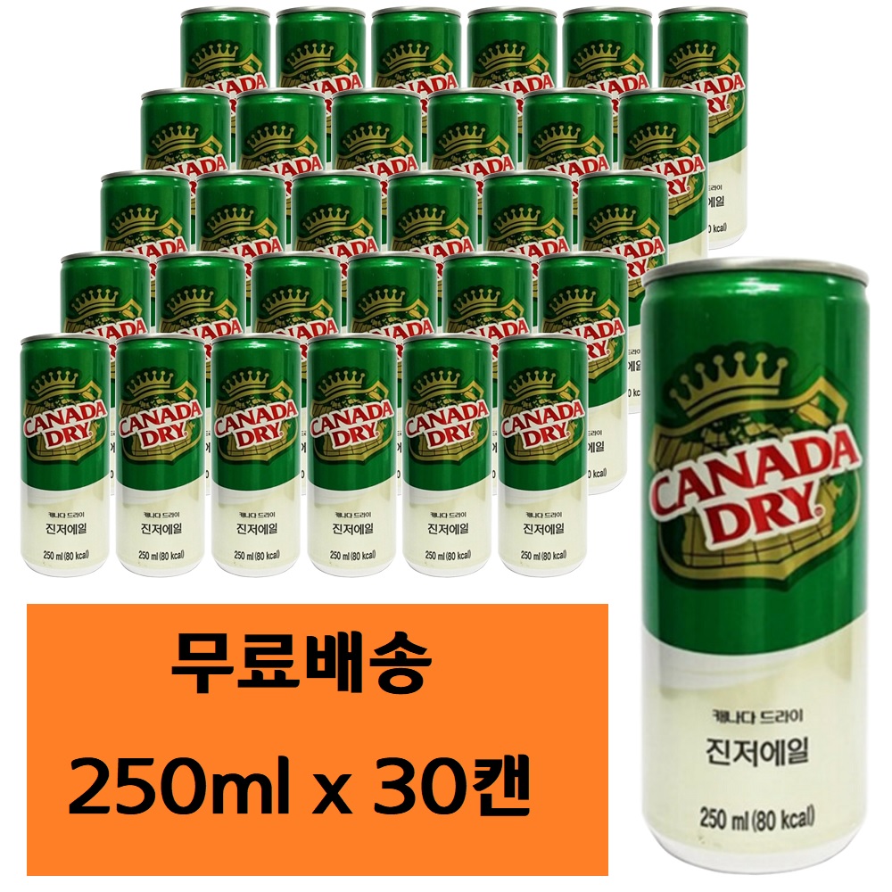 캐나다 드라이 진저에일 250ml x 30캔 진저엘 : 태하쇼핑