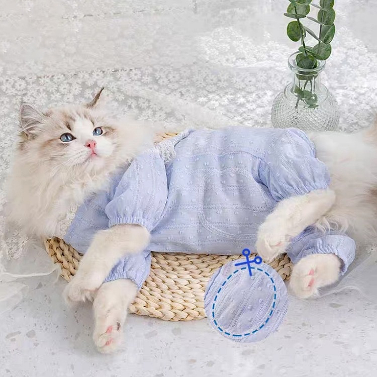 코코스튜디오 고양이 강아지옷 라라 레이스 올인원 : coco스튜디오