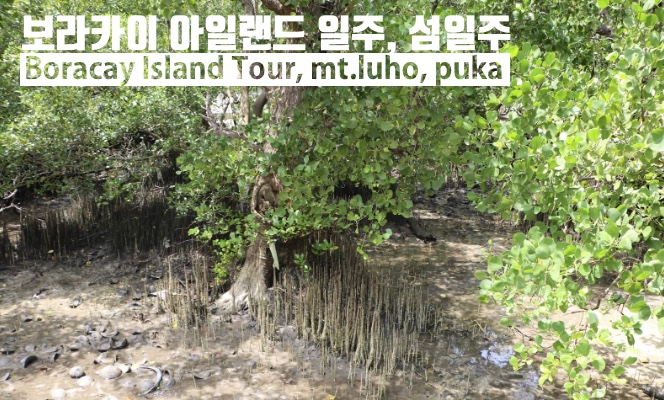 [보라카이 랜드투어]인스타그램 명소투어(아름다운 섬 일주+사진촬영 및 제공) : 주식회사 투엔티파이브