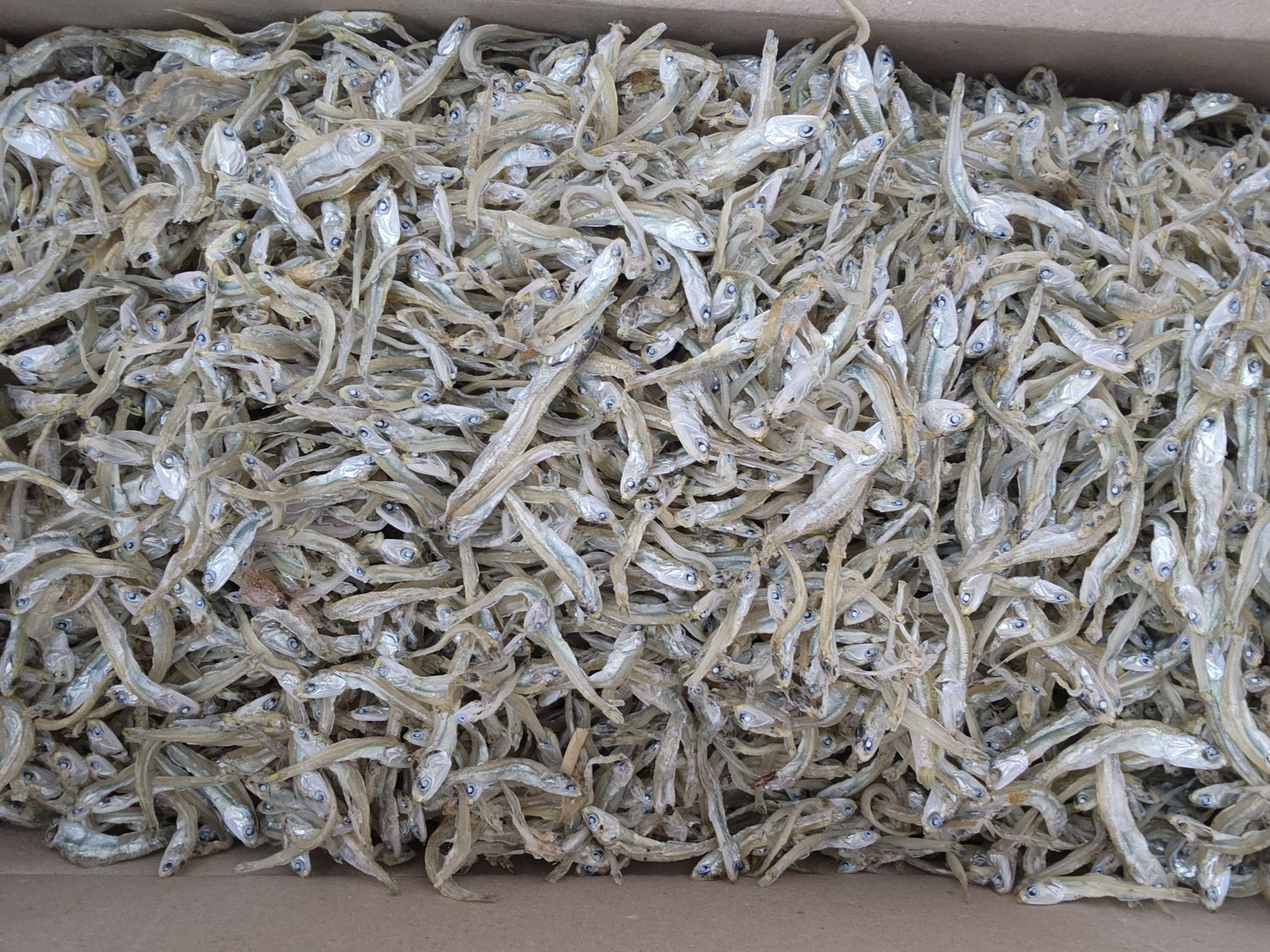 [용이네건어물] 거제 볶음 멸치 300g, 거제도 정치망 멸치, 거제 특산품 멸치 : 용이네건어물