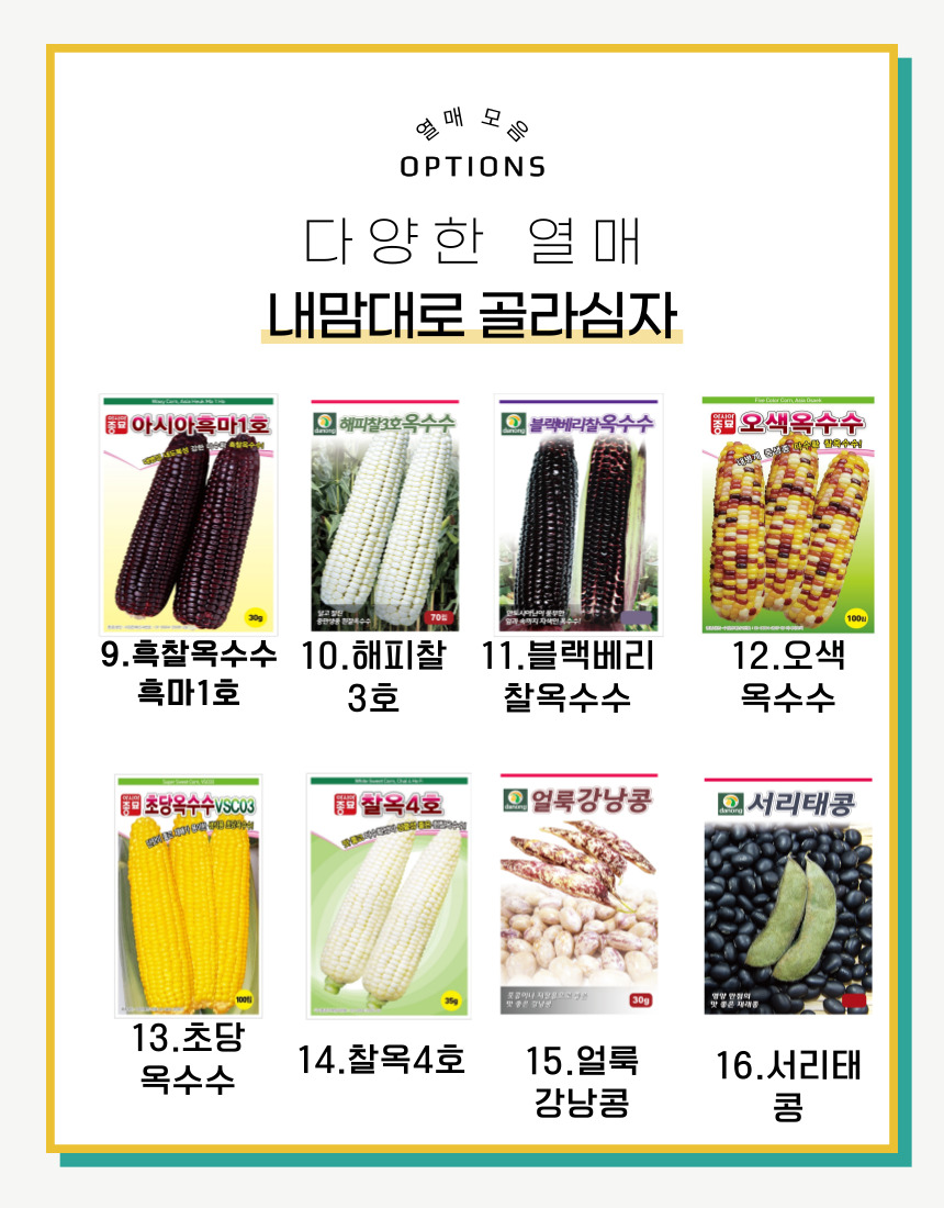열매 모음전 : 365일 모종마트