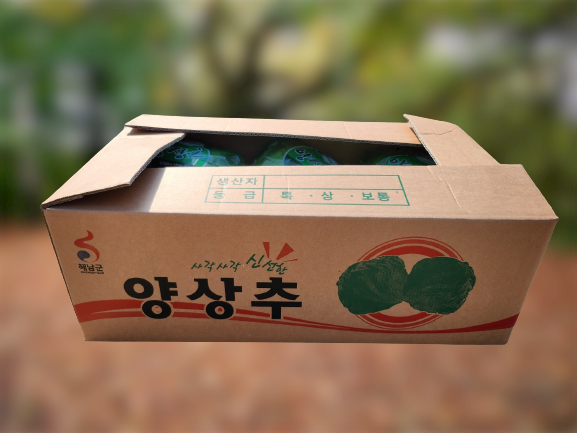 [땅끝맛]국내산 양상추 6통 (3kg내외) : 땅끝맛