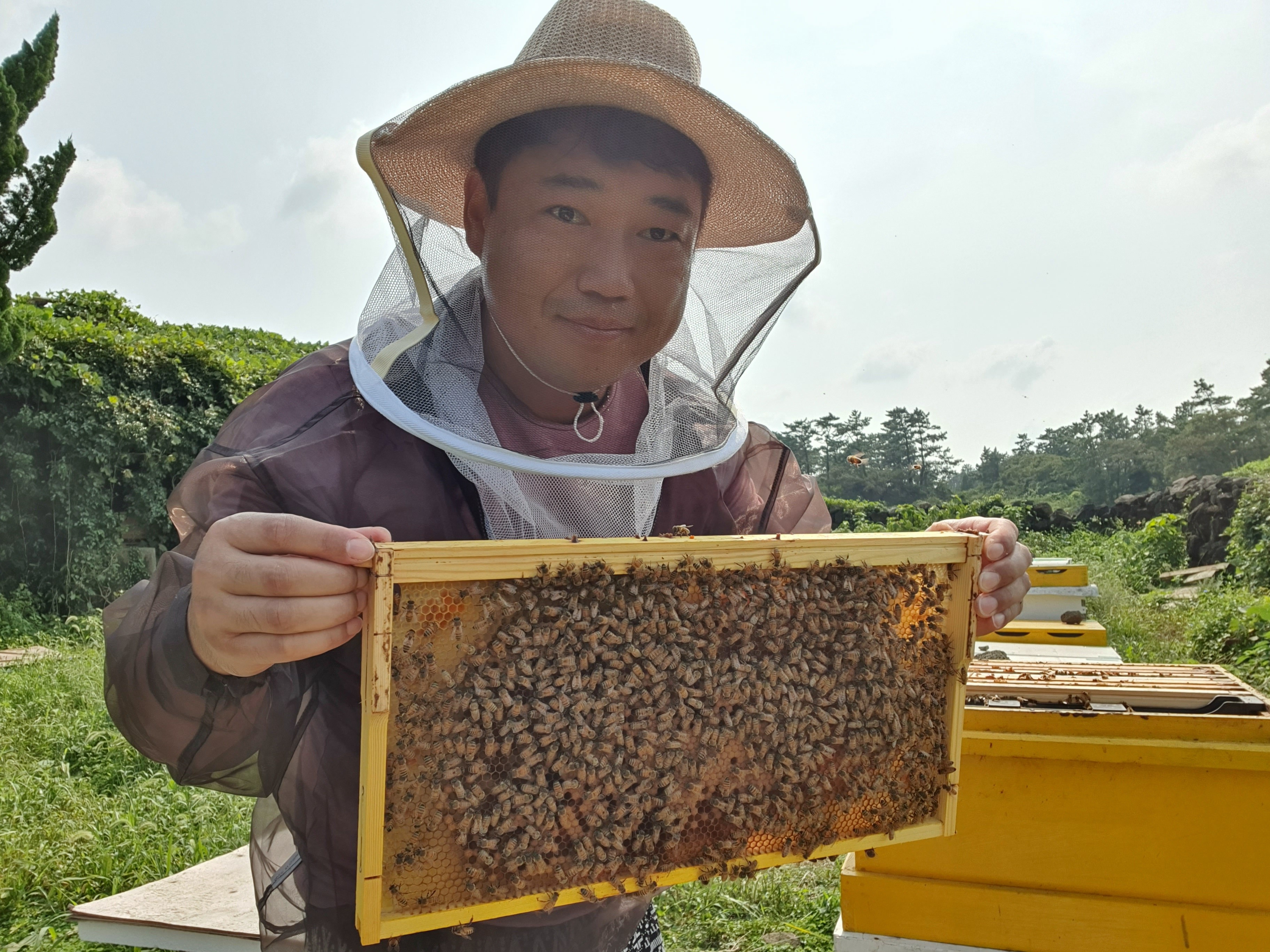 [비주비주농장] 제주자연숙성꿀 한라산 야생화꿀 1,1kg 벌꿀 산지직송 : 비주비주농장