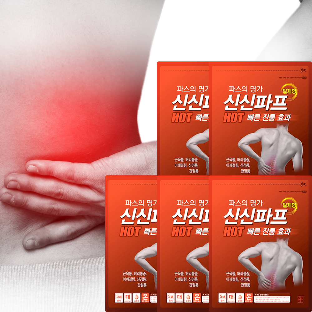 신신제약 신신파스 쿨 5매 5개(25매) 붙이는파스 : 알비노랩