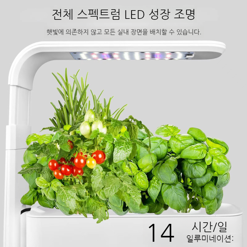 수경재배기 가정용 스마트팜 LED 식물재배기 실내 텃밭 상추 새싹 채소 식물 야채 키우기 : 아우라상점