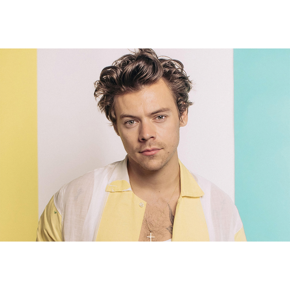 TMB-431 해리 스타일스 대형 포스터 브로마이드 뮤지션 음악 A3 Harry Styles 가로형 : 조이포스터