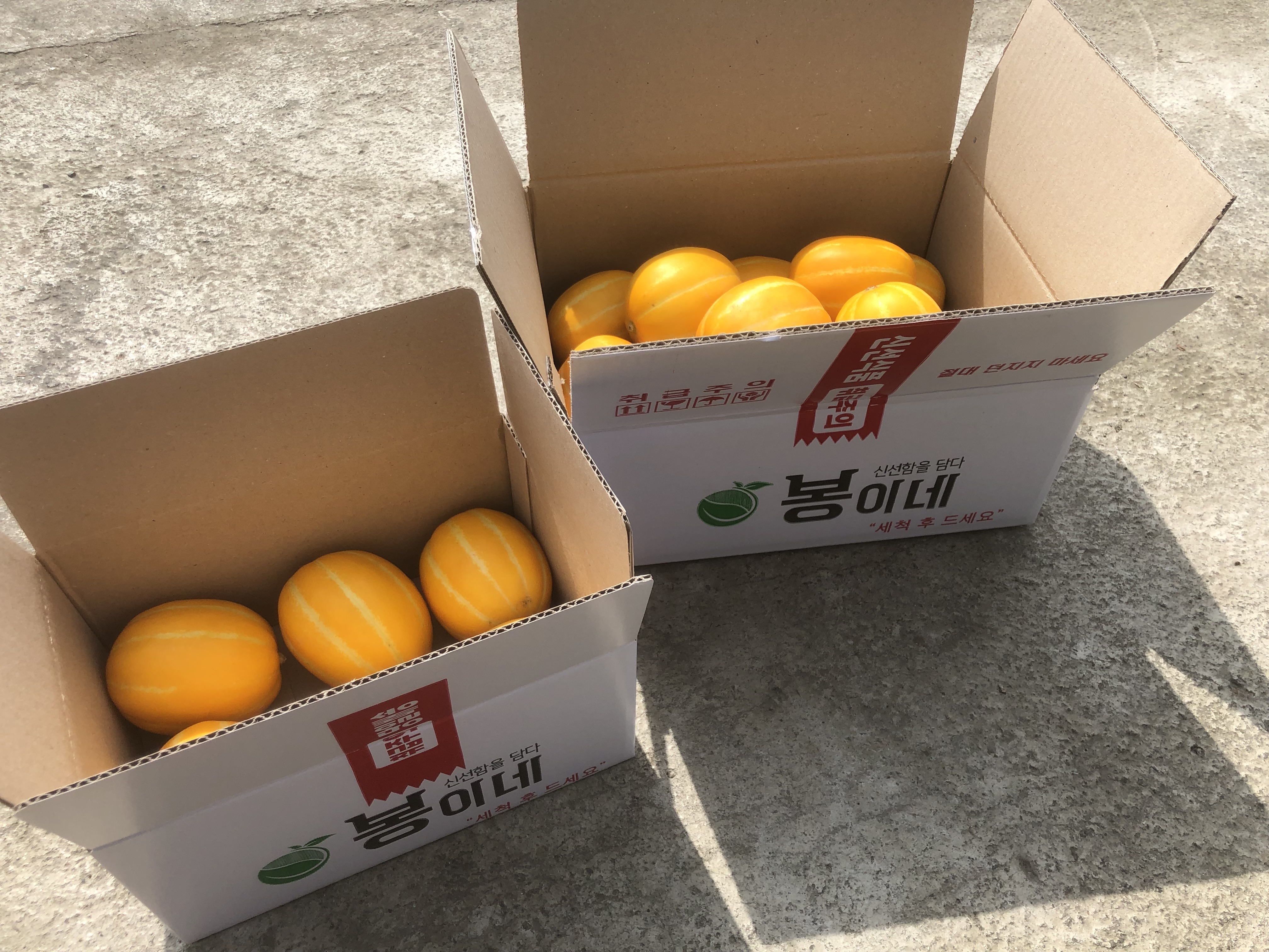 [정품] 달콤아삭 꿀뚝뚝 참외 1kg 2kg 3kg 4kg : 봉이네농장