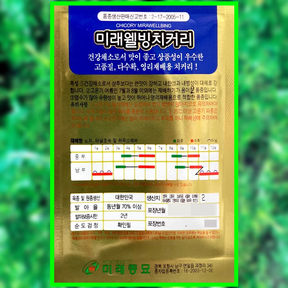 미래웰빙 치커리씨앗 2000립 치커리씨 종자 : 씨앗을 부탁해