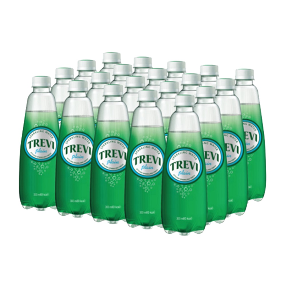 트레비 탄산수 플레인 300mlx20개 : 코스타마트