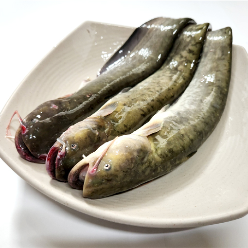 메기 빠가사리(동자개) 민물 매운탕 (2~3인분) 밀키트 팔당수산 : 명은수산