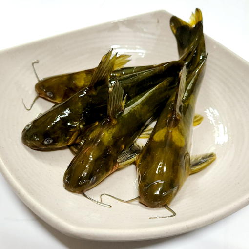 메기 빠가사리(동자개) 민물 매운탕 (2~3인분) 밀키트 팔당수산 : 명은수산
