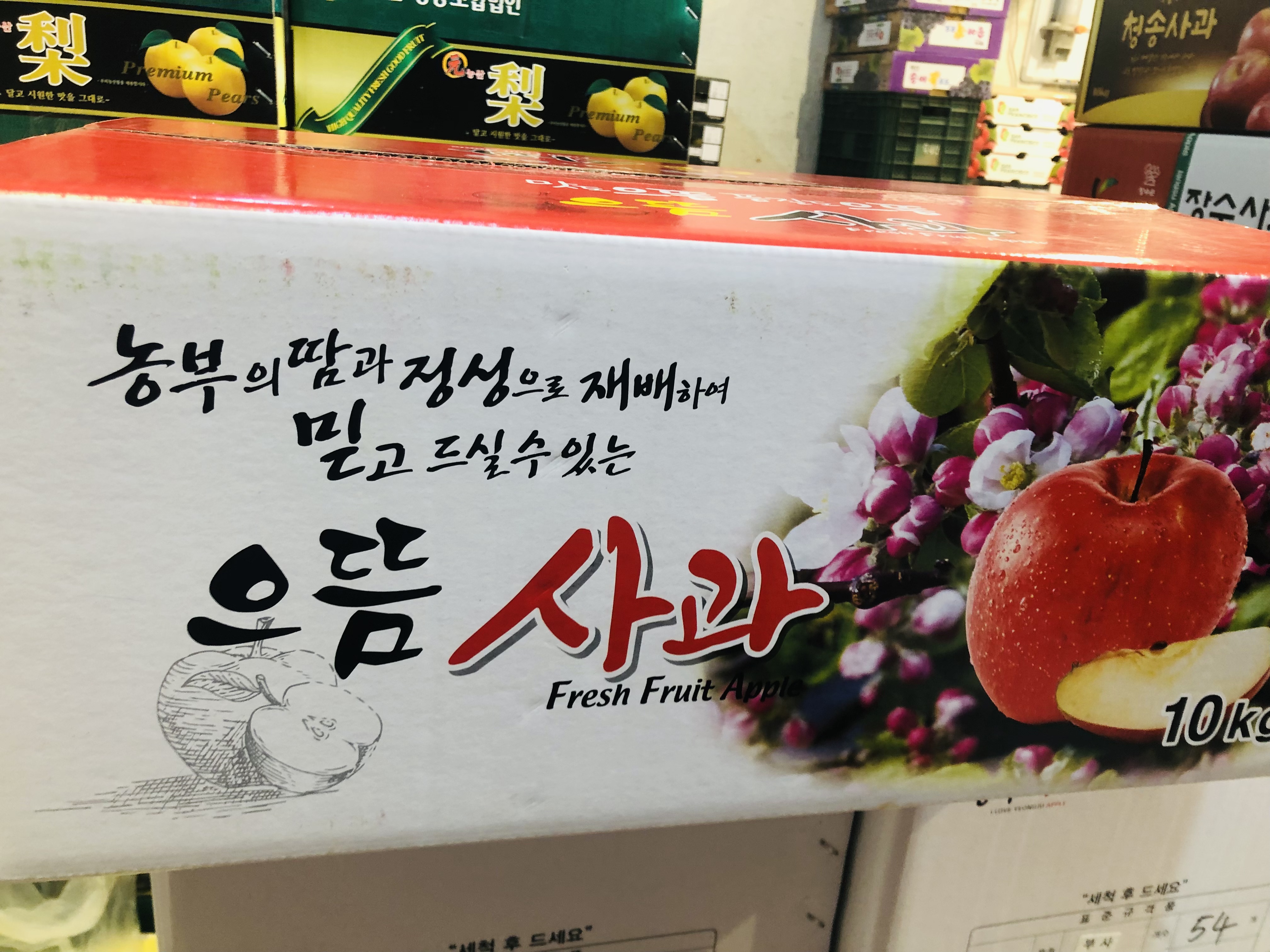 청송사과10kg : 덕신청과
