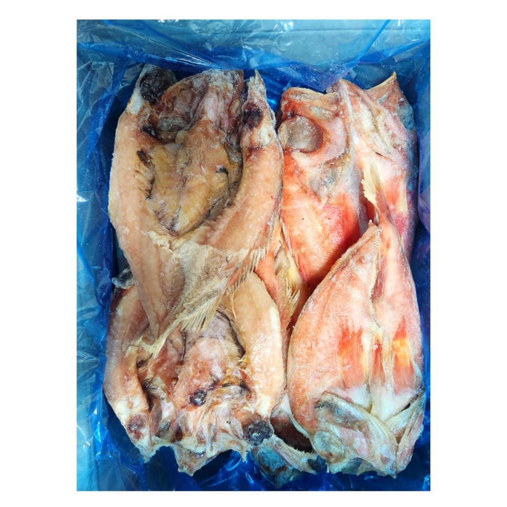 손질 적어 장문볼락 빨간고기 할복 적어 4kg/3kg 도매 식당반찬 식당용 생선구이 : 대길푸드