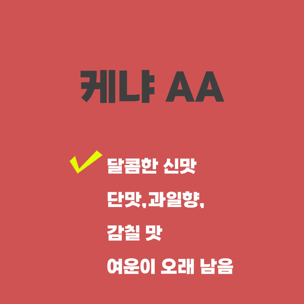 케냐 AA - 500g 싱글오리진커피,홈카페원두 : 투데이화이팅 커피