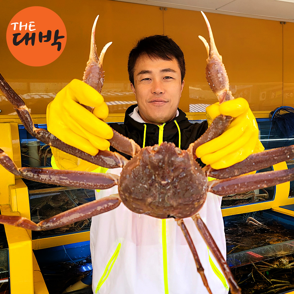 러시아 박달대게 마가단 수율보장 : 더대박