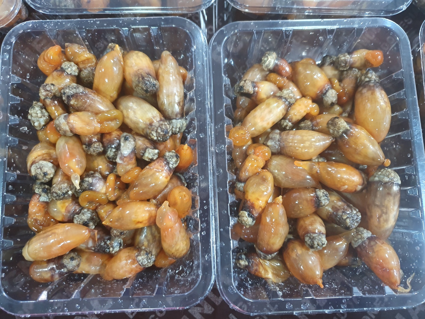 제철 손질 미더덕 500g 오만둥이 생물 냉동 참미더덕 국내산 : 통영 83수산