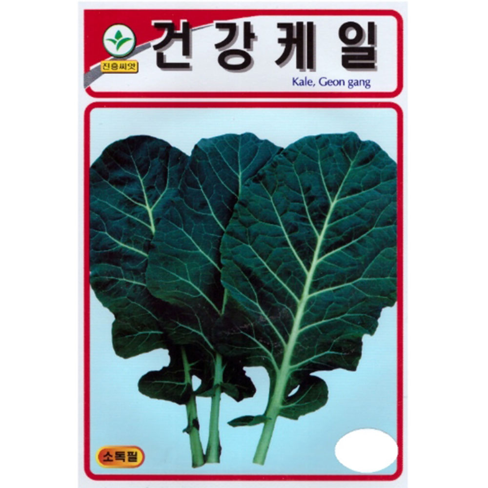 녹즙용케일씨앗 건강케일 1000립 진흥종묘 23년 : 제일농약사