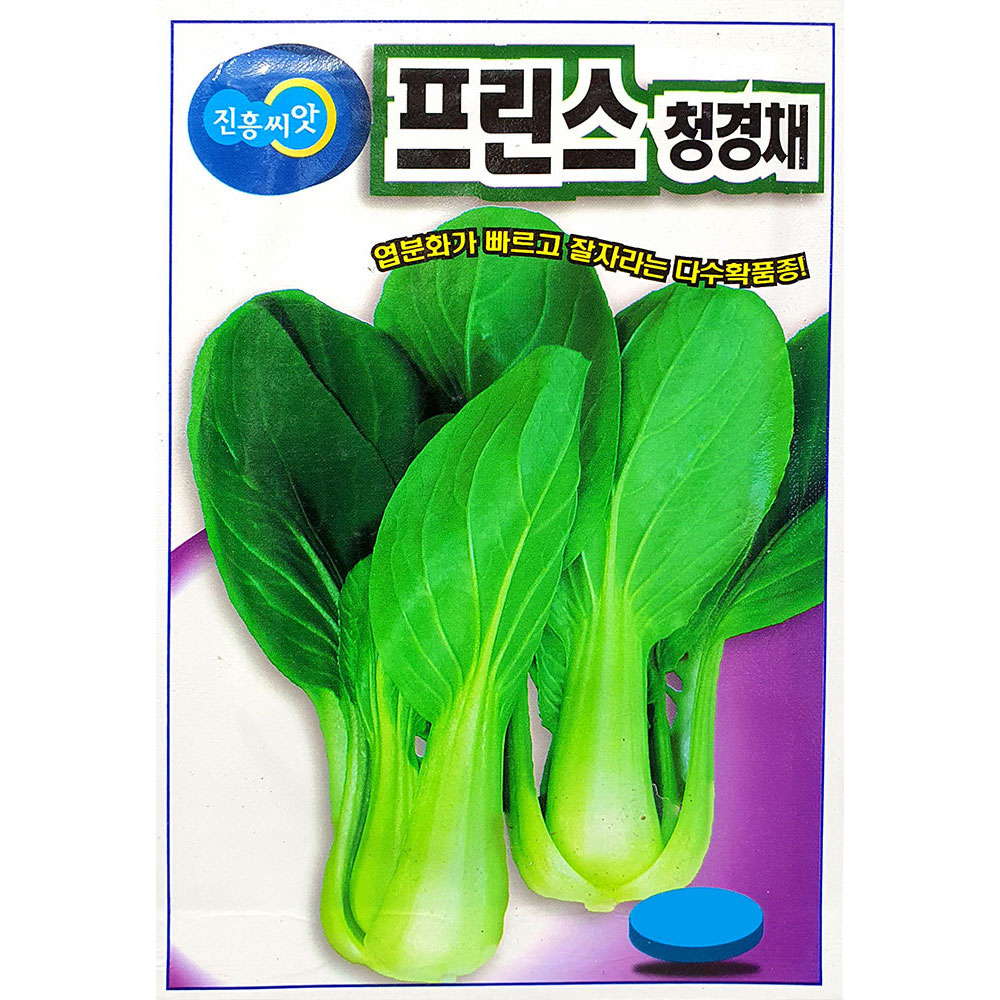 프린스청경채 2000립 진흥종묘 23년포장 : 제일농약사