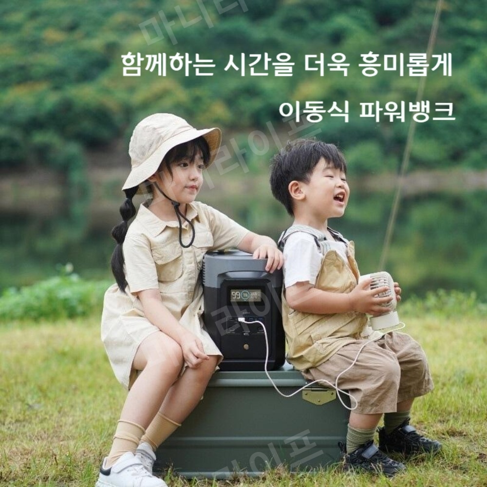 파워뱅크 델타2 리튬 인산철 배터리 캠핑 차박 차박,낚시,야외작업용 : 마니라이프