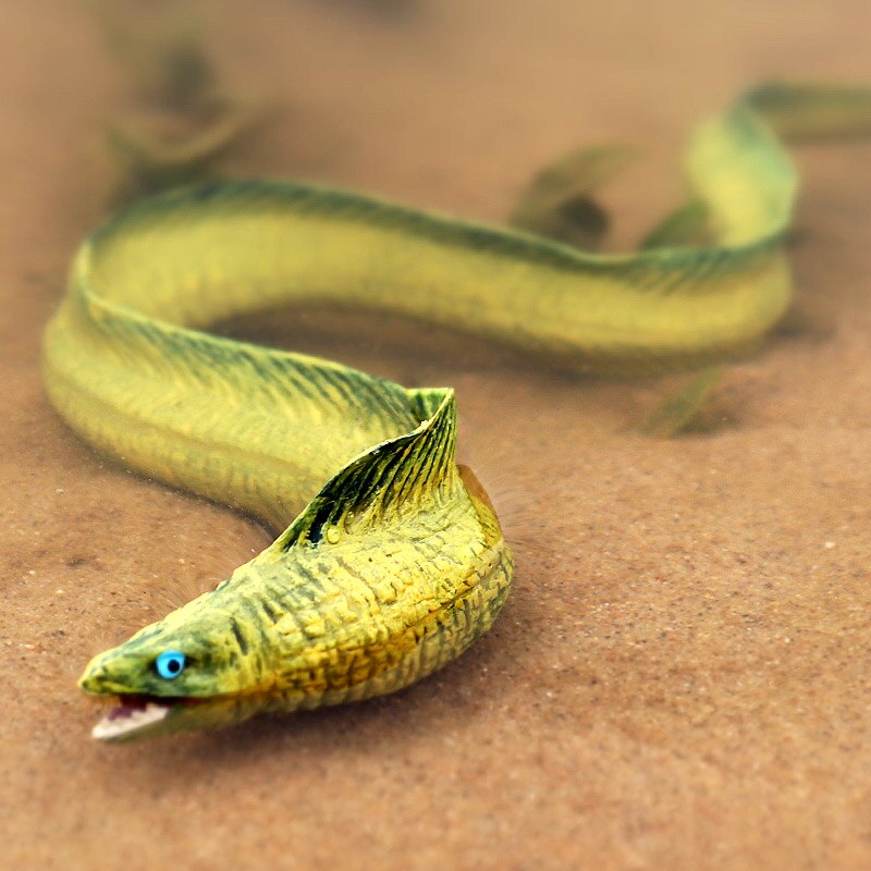 장난감 Oenux 해저 해양 동물 Moray 장어 바다 생활 Conger 모델 인형 액션 피규어 어린이 학습 : 시아직구대행