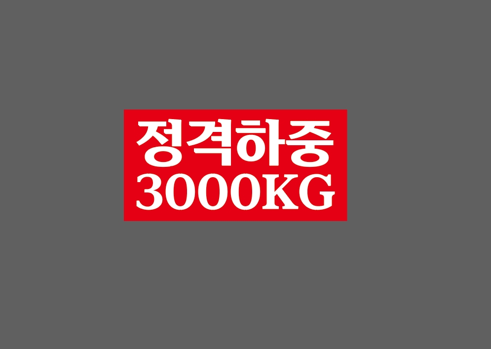 정격하중 3000KG 945 산업스티커 9x4.5cm : BESAMEMUCHO