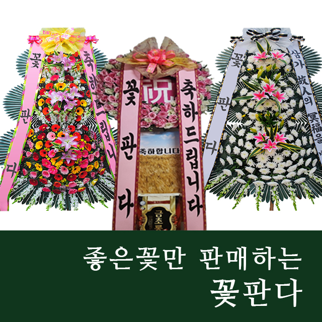 창원 웨딩의전당 전용 쌀화환 10kg 축하 결혼식화환 3단 : 꽃판다